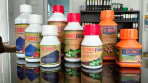 img 20241008 wa0010 img 20241008 wa0010