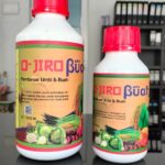 Beranda img 20241008 wa0013