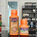 Beranda img 20241008 wa0014