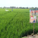 Beranda whatsapp image 2025 05 24 at 09.47.54