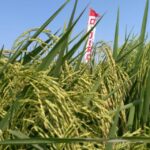 Beranda whatsapp image 2025 10 10 at 10.45.50 8e40ede7